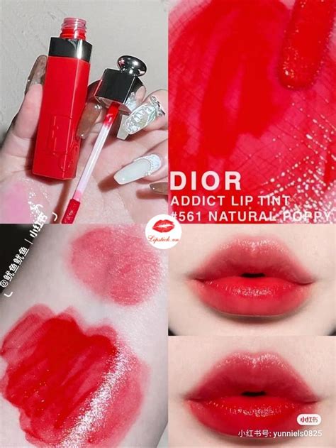 dior addict lip tint 561|Dior transfer proof lip tint.